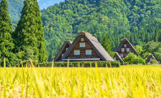 世界に誇れる日本料理を楽しむ