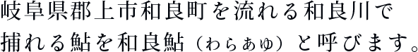 岐阜県郡上市和良町を流れる和良川で捕れる鮎を和良鮎（わらあゆ）と呼びます。